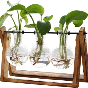 floydsummit 3-Bulb Glass Plant Terrarium with Wooden Stand, Retro Hydroponic Propagation Vase for Desk Decor